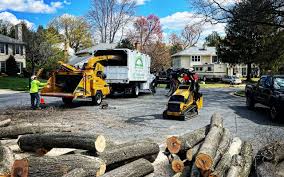 Best Lawn Drainage Solutions  in Cross City, FL