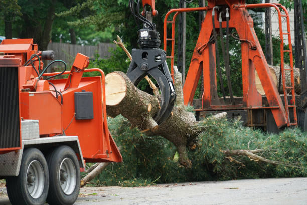 Best Lawn Irrigation Installation and Maintenance  in Cross City, FL